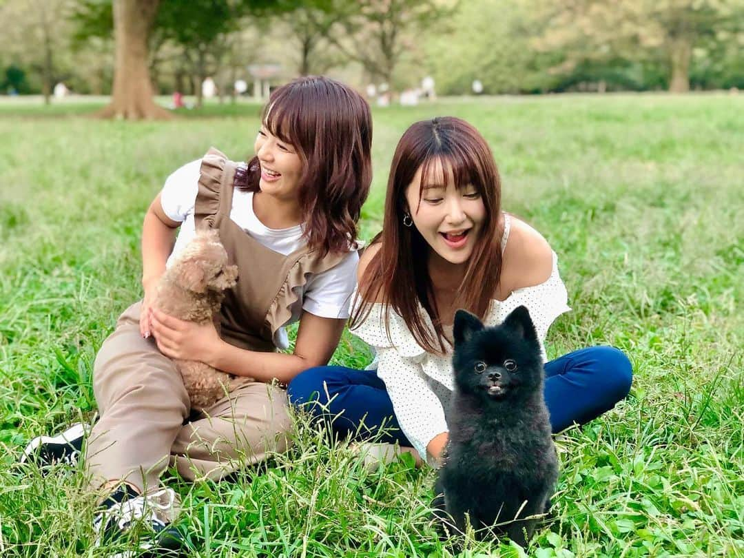 璃子さんのインスタグラム写真 - (璃子Instagram)「ワンチャン連れてピクニック🐶🌈✨ なっちゃんちのクマは犬見知りで、写真には居ないけどりーちゃんちのシェリは甘えん坊さんで、皆性格が全然ちがって面白い🤣 . うちのアムは他でピクニックに来てた女子大生さんたちと馴染んでてずっと帰ってこなかった😂😂 また暖かいときピクニックしようね☺️💗 #ピクニック#犬会#愛犬家#ポメラニアン#黒ポメ#トイプードル#トイプー」10月15日 20時02分 - ricopiiine