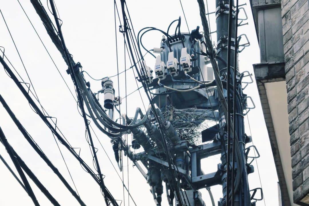 石山蓮華のインスタグラム：「#いい電線 #電線 #electric #electriccable #electricalwires #electricwire #electricwirecable」