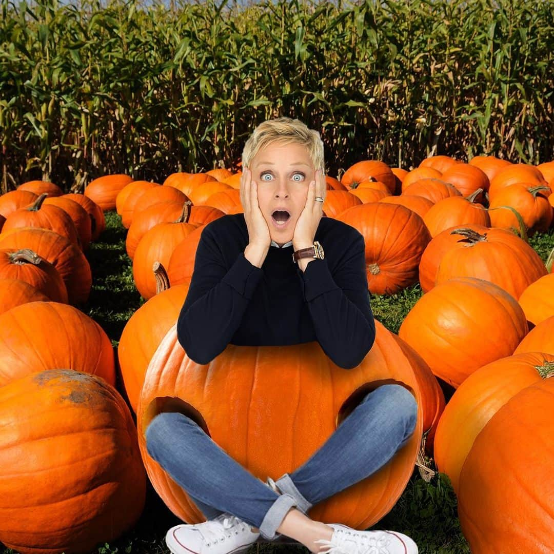 エレン・デジェネレスさんのインスタグラム写真 - (エレン・デジェネレスInstagram)「It’s pumpkin spice season. There’s a pumpkin, and I’m the spice. If you have a wonderfully horrible picture of your kid in a pumpkin, send it to me with #pumpkins4ellen」10月16日 7時34分 - ellendegeneres