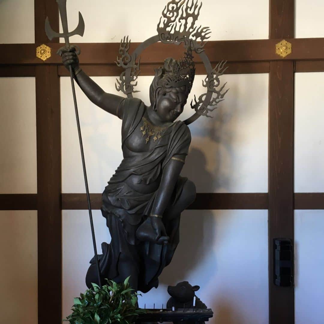 大西蘭さんのインスタグラム写真 - (大西蘭Instagram)「・ 大人の遠足👟 ・ 高岡市にある国宝 瑞龍寺。 ・ 訪れるのは子供の時以来。 ・ 青空に映える伽藍。美しい。 ・ ８枚目の写真はトイレの神様と言われる烏枢沙摩明王。 （本物は写真禁止なので、これはレプリカ） ・ 現存する烏枢沙摩明王像としては日本最古で最大級。 明王が左足を高く上げ、不浄な振る舞いのあった猪頭の亥子神を縛り上げ、戒めている姿が特徴。 烏枢沙摩明王のお札を目より高い位置に貼り、お手洗いをきれいにすると、不浄がはらわれ、病気平癒、安産成就、子孫繁栄などがもたらされるそうです。 ・ 瑞龍寺はどこを見ても素晴らしく、お天気の良さも相まって、清々しい気持ちになりました。 ・ ・ #国宝 #瑞龍寺 #烏枢沙摩明王 #トイレの神様 #大人の遠足 #富山観光 #高岡観光 #富山旅行 #富山おすすめスポット #mamagirl #mamalife #zuiryujitemple #toyamatrip #takaokacity」10月15日 22時43分 - onishiran