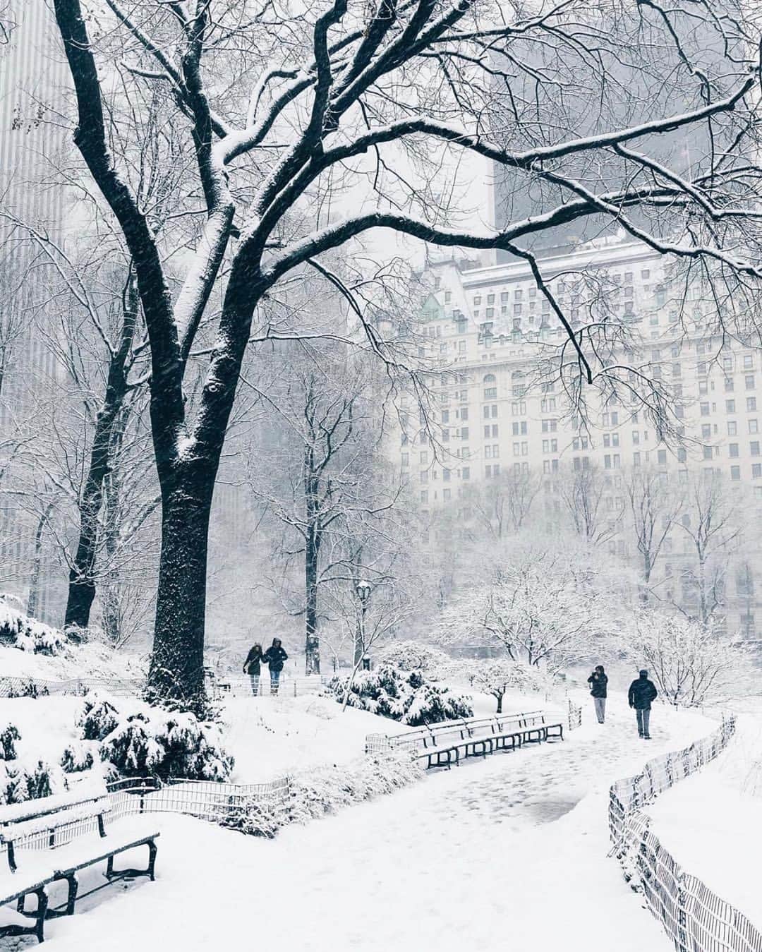 bestvacationsのインスタグラム：「Dreaming of Christmas in NYC ❄️ Tag who you’d take to New York City 😍 By @jssilberman, @pankratova916, @kat_in_nyc, @bbsinghphotos, @thewilliamanderson . . . . #bestvacations #travel #travelcommunity #travelblog #travelblogger #travelphotography #nature #adventure #earth #vacation #vacations #paradise #honeymoon #wedding #destinationwedding #engagement #engaged #anniversary #naturephotography #landscapephotography #newyork #newyorkcity #drone #dronephotography #centralpark #nyc #earthpix #dji #amazing #TravelAwesome」