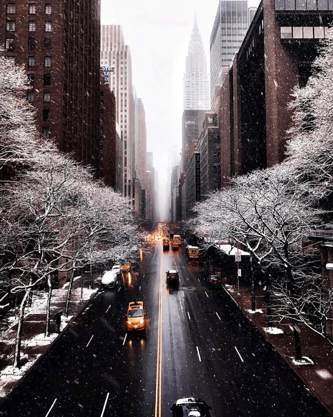 bestvacationsさんのインスタグラム写真 - (bestvacationsInstagram)「Dreaming of Christmas in NYC ❄️ Tag who you’d take to New York City 😍 By @jssilberman, @pankratova916, @kat_in_nyc, @bbsinghphotos, @thewilliamanderson . . . . #bestvacations #travel #travelcommunity #travelblog #travelblogger #travelphotography #nature #adventure #earth #vacation #vacations #paradise #honeymoon #wedding #destinationwedding #engagement #engaged #anniversary #naturephotography #landscapephotography #newyork #newyorkcity #drone #dronephotography #centralpark #nyc #earthpix #dji #amazing #TravelAwesome」10月15日 23時43分 - bestvacations