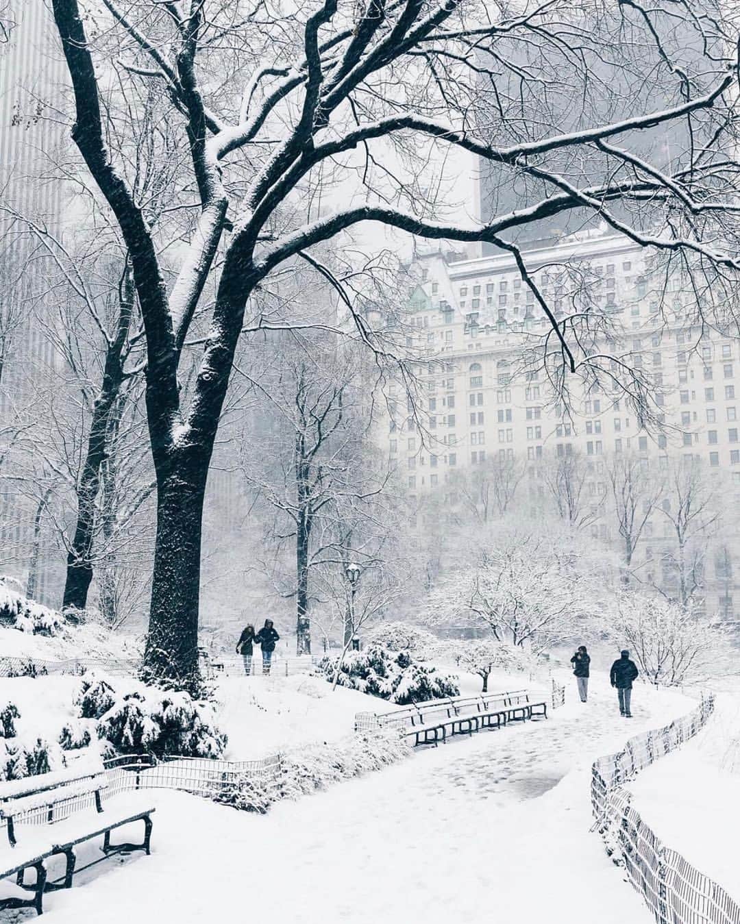 bestvacationsさんのインスタグラム写真 - (bestvacationsInstagram)「Dreaming of Christmas in NYC ❄️ Tag who you’d take to New York City 😍 By @jssilberman, @pankratova916, @kat_in_nyc, @bbsinghphotos, @thewilliamanderson . . . . #bestvacations #travel #travelcommunity #travelblog #travelblogger #travelphotography #nature #adventure #earth #vacation #vacations #paradise #honeymoon #wedding #destinationwedding #engagement #engaged #anniversary #naturephotography #landscapephotography #newyork #newyorkcity #drone #dronephotography #centralpark #nyc #earthpix #dji #amazing #TravelAwesome」10月15日 23時43分 - bestvacations