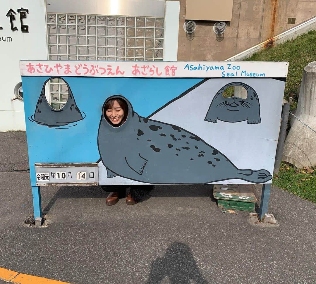 内木志のインスタグラム：「北海道に行ってきました❄️ 旭山動物園に行って、いろんな動物を見てきました🐿🐇🦌🦛🦒🐅🐆🐍🐺🐗🦅🐒🐻🦊🦁🦚🦝 写真フォルダが動物達で溢れてるので2枚目から載せますね💕 1枚目は顔パネルにしっかりはめる22歳です🤣 #北海道 #北海道旅行  #旭山動物園 #動物園  #あざらし #動物」