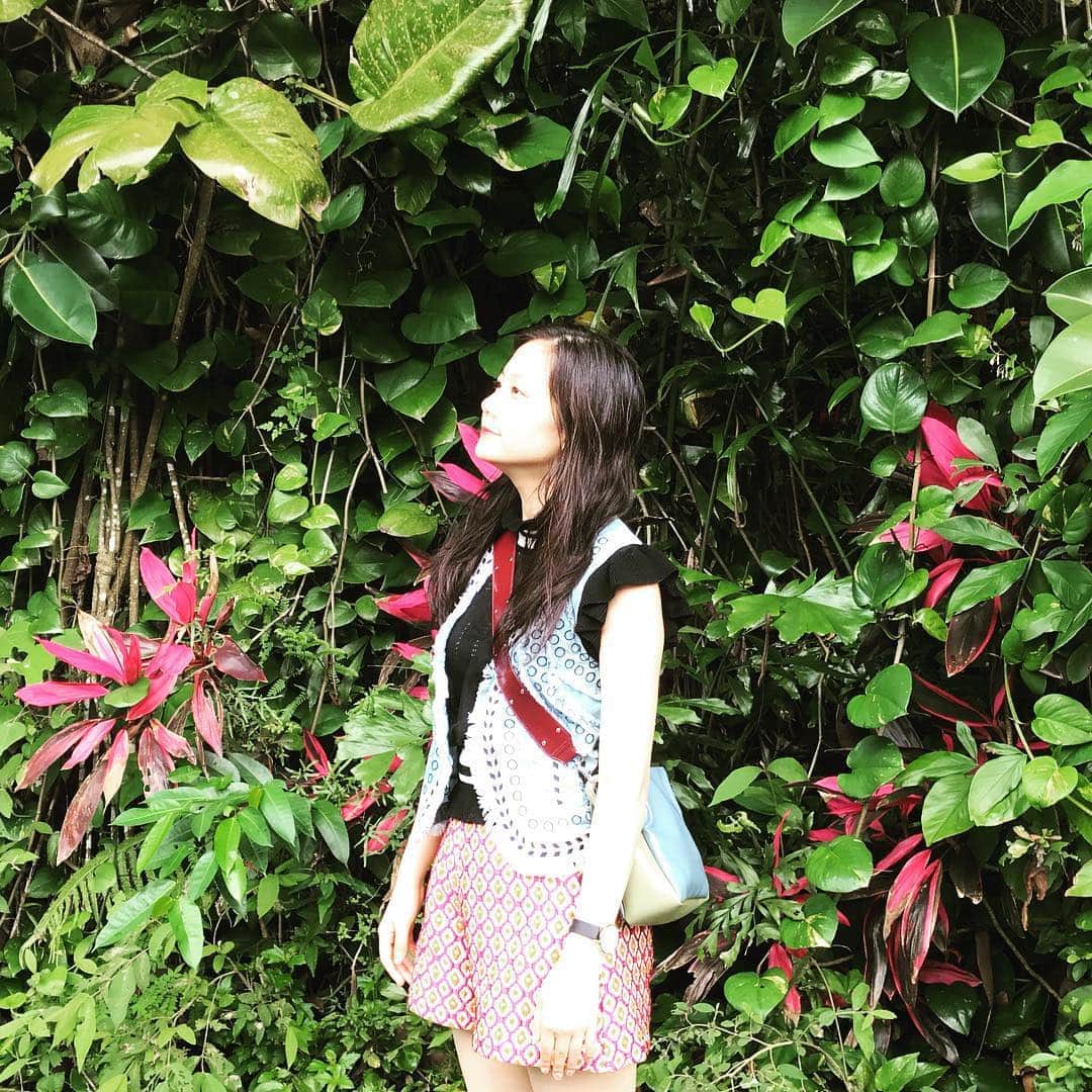 千眼美子さんのインスタグラム写真 - (千眼美子Instagram)「・ 夜分遅くにすみませんが、 台湾の動物園のブログ書きました。 かわいいzoo動画いっぱいなので ぜひ、LINE BLOGのぞいてね👀 #台湾 #台北 #動物園」10月16日 0時56分 - yoshiko_sengen