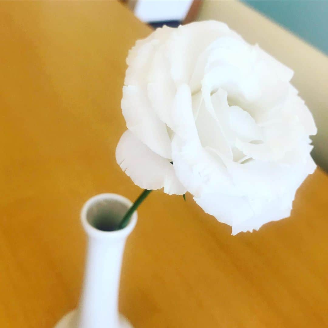 キム・ジョンウンさんのインスタグラム写真 - (キム・ジョンウンInstagram)「“모든 눈물을 그 눈에서 닦아 주시니,다시는 사망이 없고, 애통하는 것이나 곡하는 것이나 아픈 것이 다시 있지 아니하리니, 처음 것들이 다 지나갔음이러라”#요한계시록21:4」10月16日 1時42分 - chocolatecat9