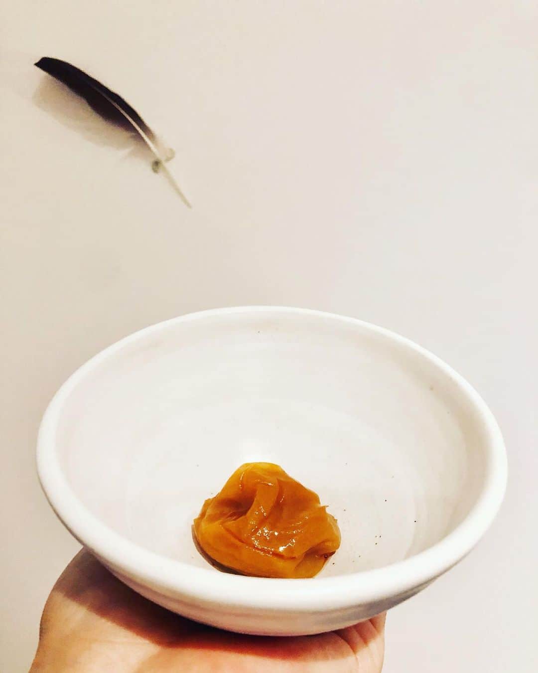 裕木奈江さんのインスタグラム写真 - (裕木奈江Instagram)「日本から運んできていただいた梅干しが美味しくて。 「おいしいお米も持っていきましょうか?」と聞かれ、それはさすがに荷物になるからと辞退してしまったので、「ご飯を空想しながら梅干しを食べる」という、逆向きの発想で脳内マリアージュ。 ちなみにお茶碗は自作🍚  #和食 #梅干し #おいしい ＃日の丸」10月16日 15時25分 - nae_yuuki
