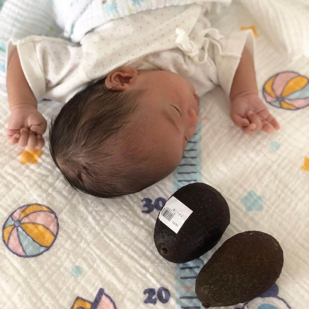 伊藤春香さんのインスタグラム写真 伊藤春香instagram うちにあるアボカド が可愛い コメント欄で教えてもらった キウイにしたかったんだけど 近所のスーパーでキウイが 売り切れだったから 家にあったアボカド 赤ちゃんアボカド ちびけん