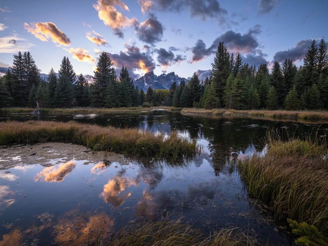 National Geographic Travelさんのインスタグラム写真 - (National Geographic TravelInstagram)「Photo by @michaelclarkphoto | Mountains rise above Schwabacher Landing on an autumn evening in Grand Teton National Park, Wyoming. This location can be overrun with photographers, but luckily there are several other areas nearby—and on the trail—where one can capture stunning images as well. Please be kind to the vegetation and the environment here. #wyoming #grandtetonnationalpark #tetons」10月16日 9時04分 - natgeotravel