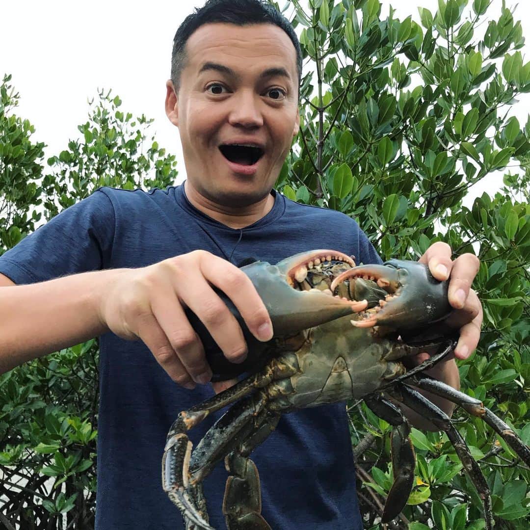 三好ジェームスのインスタグラム：「蟹蔵さんの案内で！  伊良部島でマングローブ蟹を獲り、そして頂いた！ かなり濃厚な味で、蟹の持つ繊維はなく口の中でとろける。  伊良部島の自然を残していくために活動している蟹蔵さん！ ちょいちょいお茶目なギャグを挟んでくるんだけど、とっても熱いハートの持ち主です。  宮古島旅行の際は、伊良部島まで足をのばしてぜひマングローブ蟹とマングローブ散策を体験してみてください🦀  #蟹蔵#マングローブ蟹#あみめのこぎりがざみ#アミメノコギリガサミ #伊良部島#マングローブ#大剣#検索は蟹蔵#🦀」