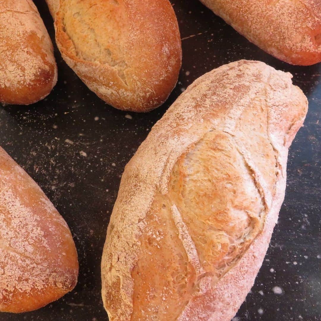 魔女菅原のグルメインスタ