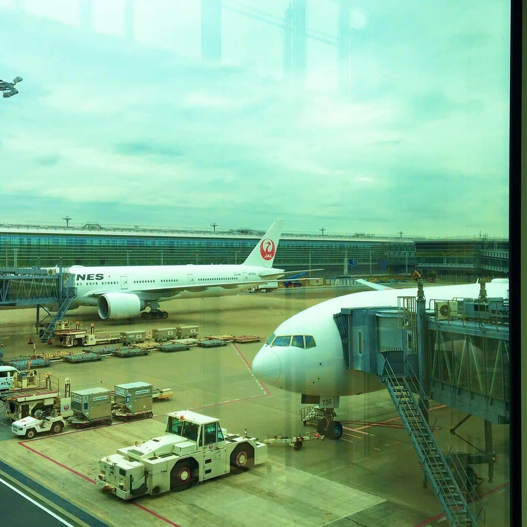金子三勇士さんのインスタグラム写真 - (金子三勇士Instagram)「Off to Europe! #JAL #flyjal @haneda.airport_international @japanairlines_jal #JGCDiamond #oneworldemerald #B773 #JapanAirlines #Pianist #SteinwayArtist #MiyujiKaneko #Ontour #日本航空 #羽田空港 #出発 #ヨーロッパ #演奏旅行 #ピアニスト #金子三勇士 #旅人」10月16日 11時03分 - miyujikaneko_official