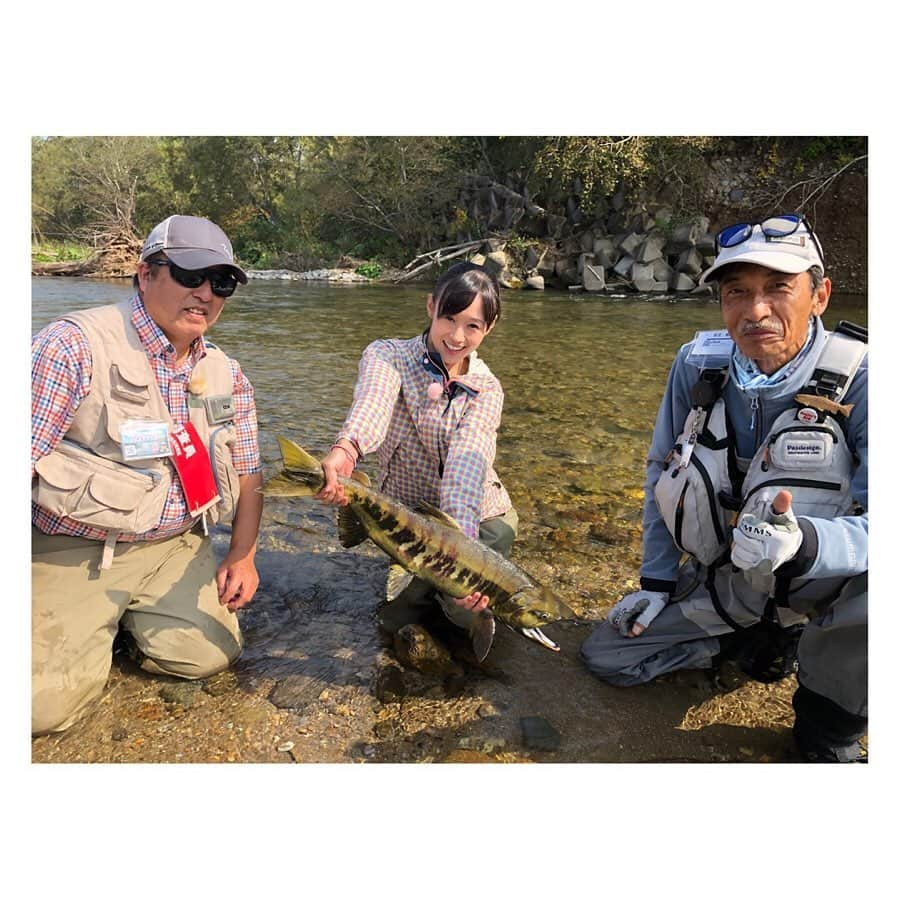 柳野玲子さんのインスタグラム写真 - (柳野玲子Instagram)「北海道標津町、忠類川で初のサケ釣りに挑戦してきました🎣✨ 少し悔しい釣りでしたが。笑 とっても楽しかったです☺️💞 川で生まれてやがて海に出て、大西洋の長い旅を経て四年後にまた生まれた川に戻って遡上して産卵して力尽きて… そして自分の身が栄養分としてまた次の子孫に受け継がれ。。 地理が苦手な私が鮭だったら、たぶん迷って故郷に帰れないだろうな🤔 鮭の本能って本当にすごいですよね🐟💞 明日22時〜釣りビジョン「参るぞ狼」初回放送です☺️✨ お楽しみに💞 #釣り #釣りビジョン #川釣り #忠類川 #忠類川サーモンフィッシング #サーモンフィッシング #鮭　#サケ釣り #サケ #参るぞ狼 #ロケ #北海道 #標津町 #サケの町」10月16日 11時20分 - yanaginoreiko