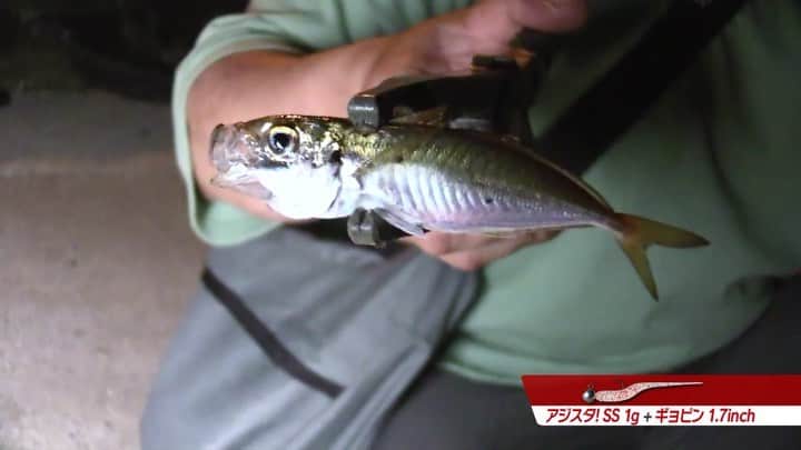 LureNews.TVのインスタグラム