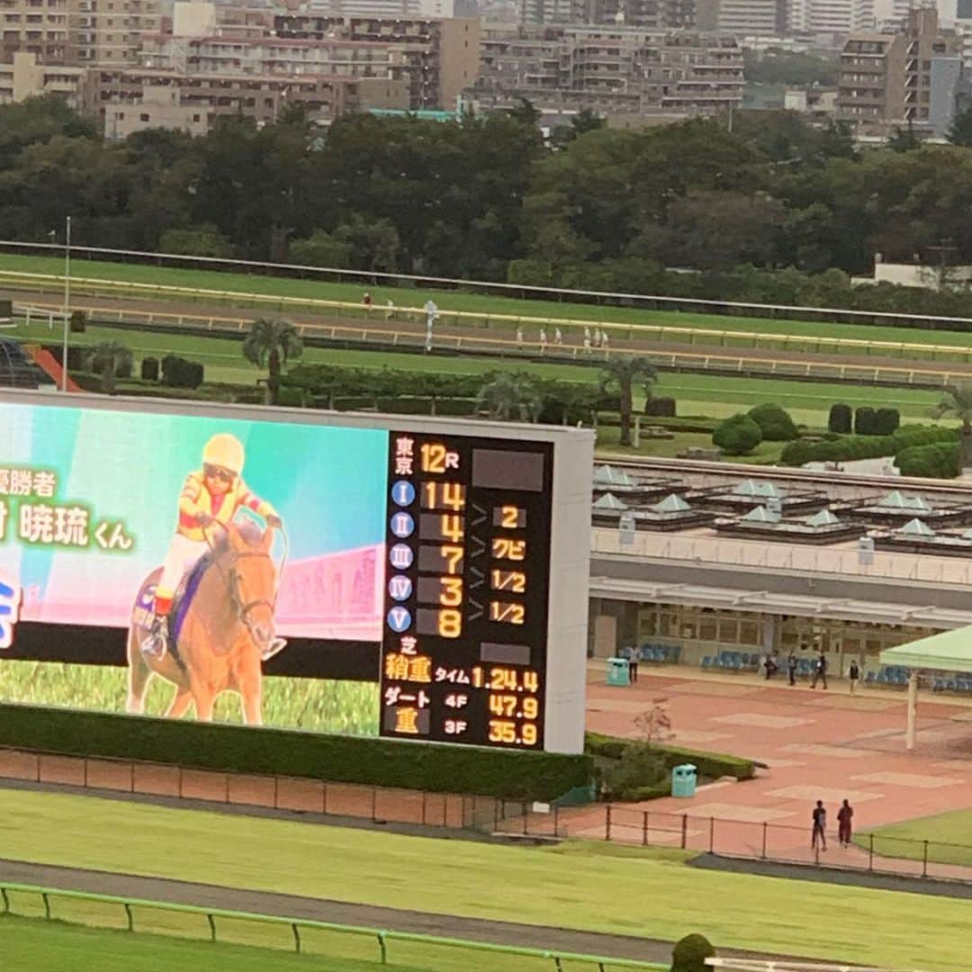 森田遥さんのインスタグラム写真 - (森田遥Instagram)「予想的中したー！🎯🤪💪🏇 #JRA #競馬 #馬だいすきかわいすぎ」10月16日 12時15分 - moritaharuka5588