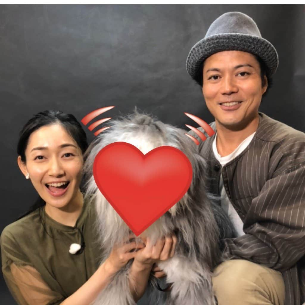 朝日放送「おはよう朝日土曜日です」さんのインスタグラム写真 - (朝日放送「おはよう朝日土曜日です」Instagram)「今週のハッピーやっぴーはこいでさんと！スペシャルゲスト！？も登場します！  #ペット🐶 #最新事情 #こいでさんの #新しい家族 #テレビ初登場  #おは土#おはよう朝日土曜日です#6ch#ABCテレビ#シャンプーハット#こいで#八塚彩美#10月19日放送」10月16日 15時14分 - ohado6ch