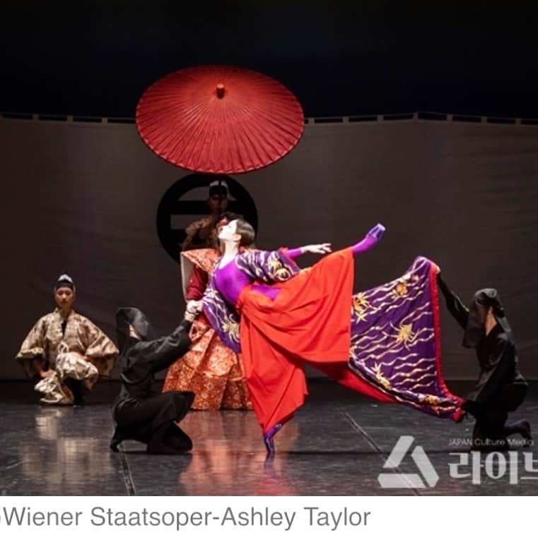 のインスタグラム：「韓国のウェブページ、Liveenニュースにてインタビュー記事を載せていただきました。もしよかったら覗いてみてくださいませ。 海外ツアーについての話のほか、韓国の生んだスター、#キムキミン さんについても触れております。 ウィーンで見た彼の舞台は素晴らしかったです。 Talking about the tour to Europe in June and also about #kimkimin ,the star of Korea who was dancing in Vienna .He was fantastic !  http://m.liveen.co.kr/news/articleView.html?idxno=250694#058j」