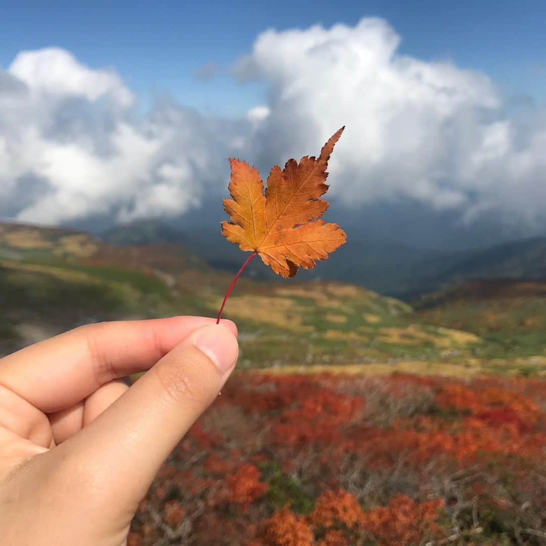 のインスタグラム：「明日の朝、にっぽんトレッキング100再放送です！ ・ 10月17日(木曜) ＮＨＫＢＳプレミアム 午前6時00分～ 午前6時30分 にっぽんトレッキング100「絶景満載！峡谷のクラシックルート～長野・上高地」 ・ ウォルター・ウェストンが「驚嘆すべき色彩の響宴」と表現した 秋の山の色付きを味わえる回になっています ・ すでに何度か放送されていますが まだご覧になっていない方はぜひ🍁 ・ ・ 皆さん山の紅葉楽しんでらっしゃるかしら！ 都内にいるとやっと金木犀の香りが……という感じですが 富士山はうっすらと雪がつき始めたそうですねぇ！ ・ ここで素晴らしい紅葉に出会ったよ！という方 良かったら思い出を教えてください😊 ・ これからの紅葉登山を考えている方 台風の被害があちこちの山で分かってきています きちんと事前に情報収集をしてどうか安全に！ ・ ・ #🗻 #登山 #トレッキング #にっぽんトレッキング100 #上高地 #クラシックルート #紅葉」