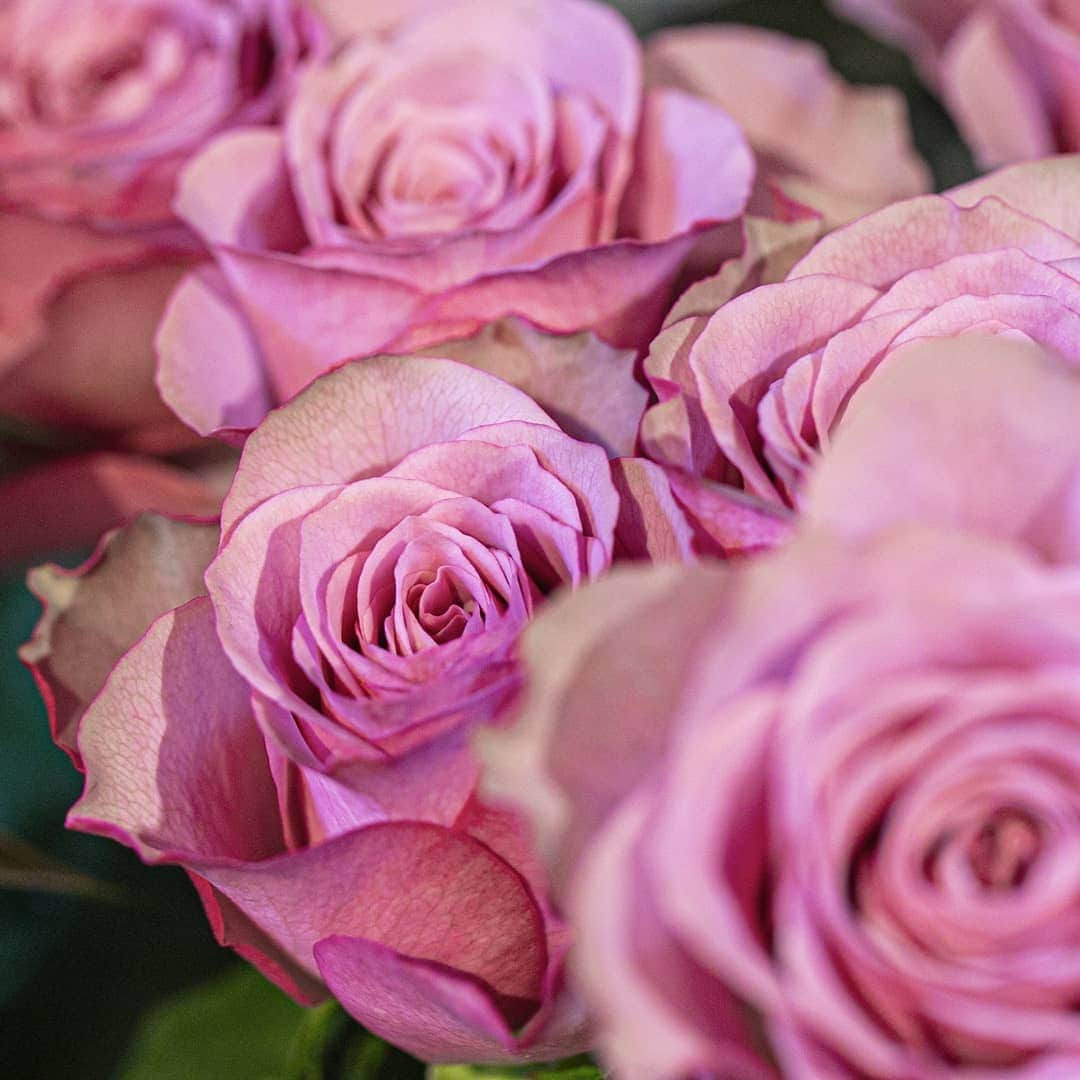 青山フラワーマーケットのグルメインスタ