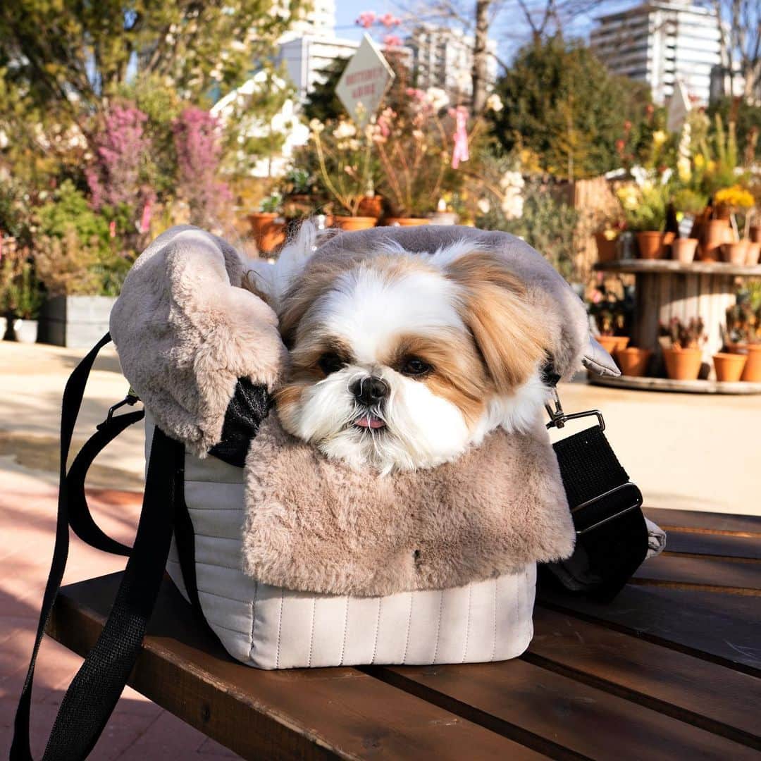 水嶋はちのグルメインスタ