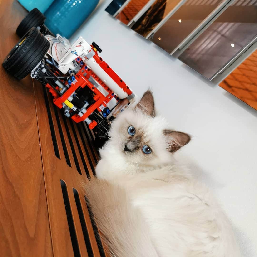 のインスタグラム：「Petrus engineering 💯👌」