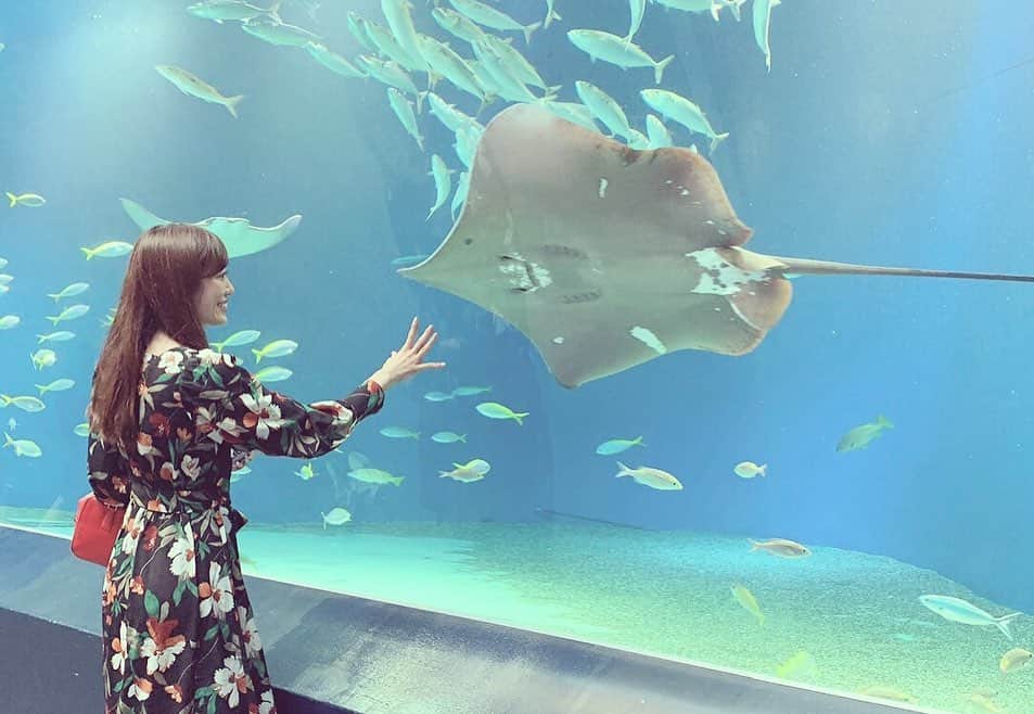 鈴丘めみさんのインスタグラム写真 - (鈴丘めみInstagram)「🐠💕 #Aquarium #fish #shinagawa #mystery」10月17日 0時43分 - memi1027xoxo