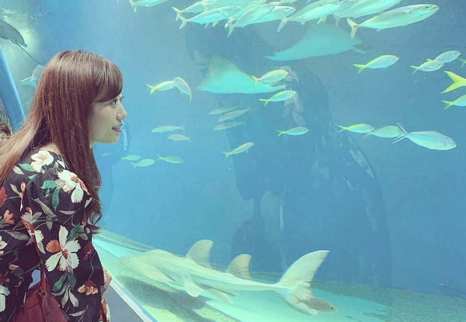 鈴丘めみさんのインスタグラム写真 - (鈴丘めみInstagram)「🐠💕 #Aquarium #fish #shinagawa #mystery」10月17日 0時43分 - memi1027xoxo