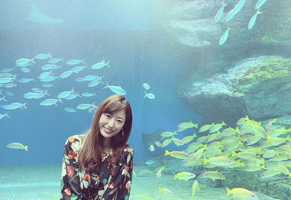 鈴丘めみのインスタグラム：「🐠💕 #Aquarium #fish #shinagawa #mystery」