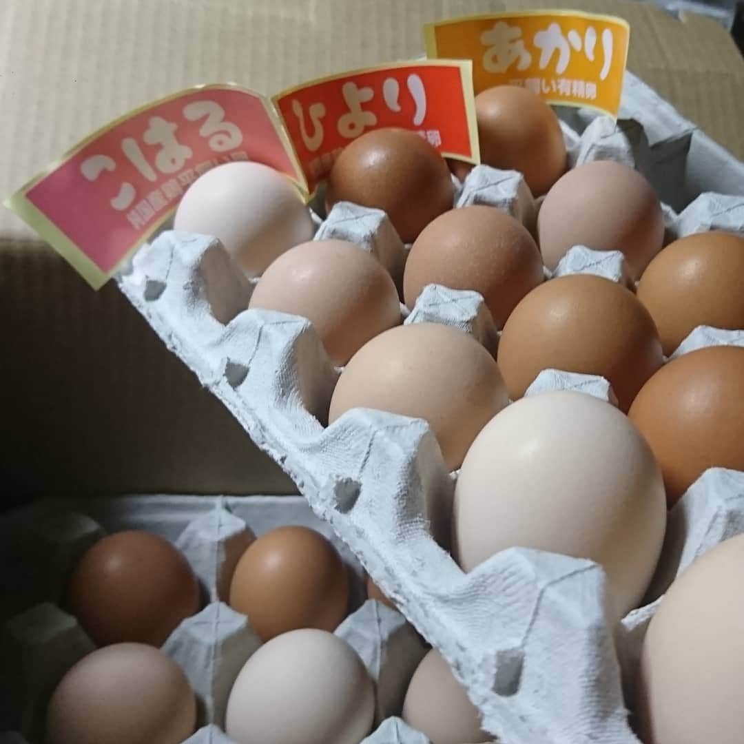 松本康太さんのインスタグラム写真 - (松本康太Instagram)「栃木県で80年以上養鶏農家をされてるワタナベファームさんの玉子(*^^*)こはる(ピンク無精卵)、ひより(赤玉有精卵)、あかり(赤玉有精卵) 卵かけご飯が大好きなので、ほとんど卵かけご飯で食べるのです(^-^)♪馬刺しの醤油でTKGおすすめです♪  #玉子 #卵 #栃木県 #ワタナベファーム #養鶏農家 #新鮮卵 #美味しい卵 #老舗 #こはる #ひより #あかり #卵かけご飯 #tkg #朝ご飯 #レギュラー松本 #あるある探検隊」10月17日 11時34分 - aruarutankentai.matsumoto