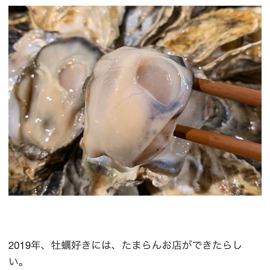 クック井上。さんのインスタグラム写真 - (クック井上。Instagram)「執筆記事、あがりました！ 【無料で生牡蠣が“#吸い放題”ってどういう事やねん！？とツッコまざるを得ない。#幡ヶ谷「#牡蠣と魚」】 https://www.hotpepper.jp/mesitsu/entry/cook_inoue_/19-00003 #無料 #牡蠣 #シンジラレナイ #メシ通 #生牡蠣 #真牡蠣 #食べ放題 #和食 #居酒屋 #oyster #Japanesefood #delicious #food #グルメ #野菜ソムリエ #アスリートフードマイスター #フードコーディネーター #食育インストラクター #bbqインストラクター #ホームパーティー検定 #FANバサダー #料理研究家 #料理男子 #料理芸人 #クック井上。」10月17日 10時23分 - cook_inoue