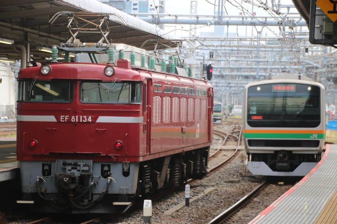 徳永ゆうきさんのインスタグラム写真 - (徳永ゆうきInstagram)「. . EF81とE231！ . #鉄道写真 #撮り鉄 #鉄道好き #JR東日本 #大宮駅 #EF81_134号機 #単機 #E231系 #高崎線」10月17日 10時37分 - tokuchan_1113