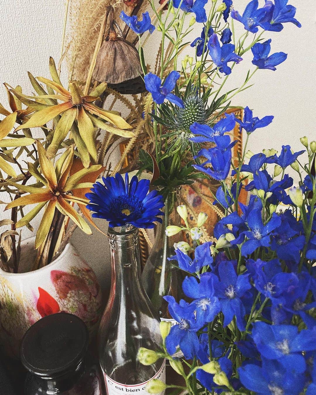 上原歩さんのインスタグラム写真 - (上原歩Instagram)「昨日はたくさんの青のお花に触れていた日💙 青の花にとても惹かれるこの頃です🦋 ・ #love #happy #flower #life #instagood #はなのあるくらし」10月17日 11時21分 - ayumiuehara