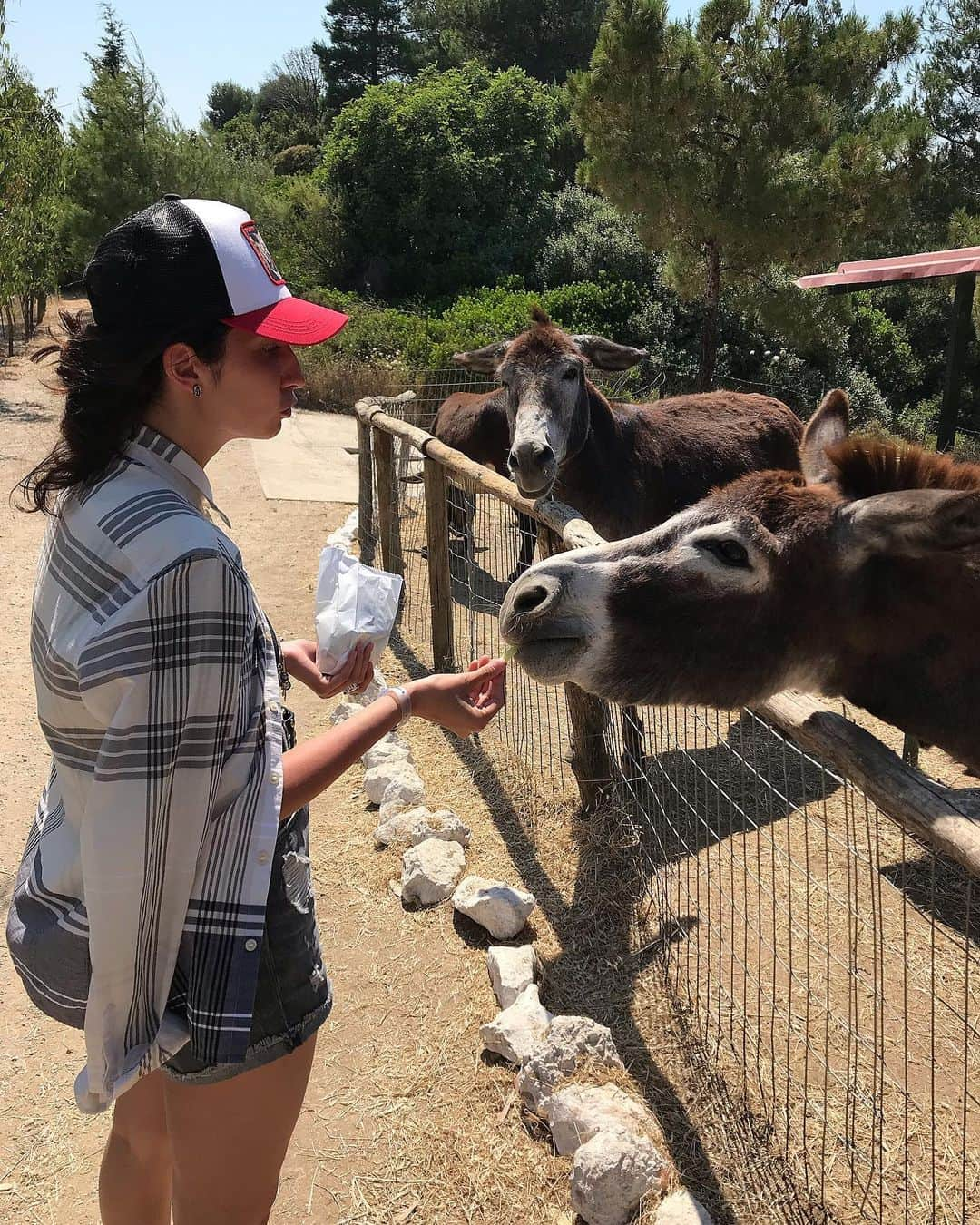 クセニヤ・モニコのインスタグラム：「Из неизданного...✌🏻#summer2019 #greece🇬🇷 #vacation🌴」