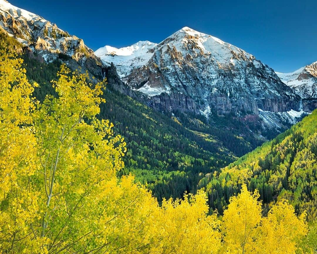 National Geographic Travelさんのインスタグラム写真 - (National Geographic TravelInstagram)「Photo by @stephen_matera | Fresh snowfall covers the peak of Wasatch Mountain, overlooking autumn's golden aspens in Telluride, Colorado. Late September and early October bring a blaze of color to the San Juan Mountains of southern Colorado. Follow me @stephen_matera for more images like this from Colorado and around the world. #autumn #aspen #telluride」10月17日 5時05分 - natgeotravel