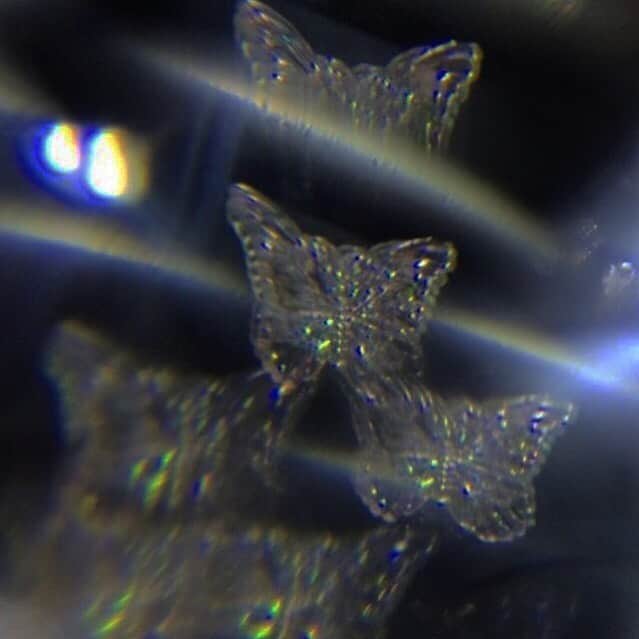 chiiiiiのインスタグラム：「🦋」