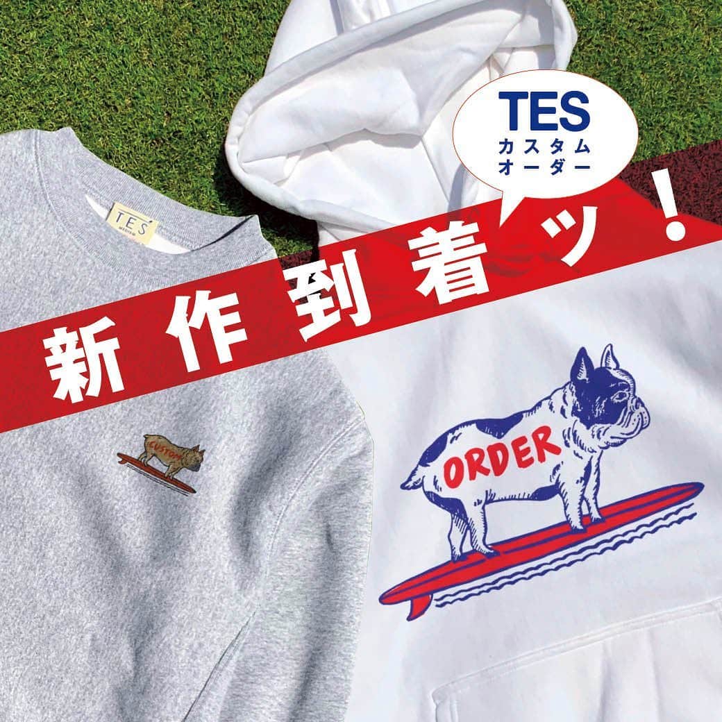 French Bulldog Lifeのインスタグラム