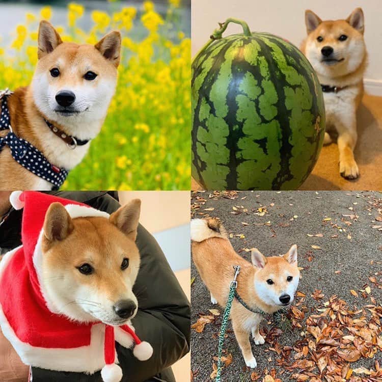 大山加奈のインスタグラム