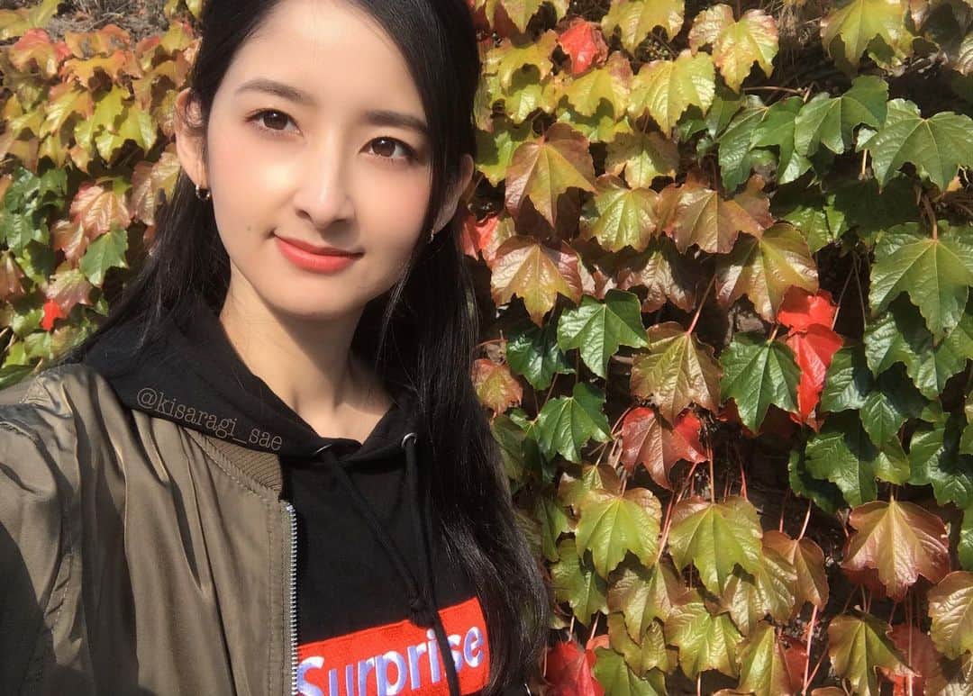のインスタグラム：「* * もうすっかり秋ですね🍁 寒い😵 * #photographing #Instagramjapan #beautifulview #Instaview #beautifulview #instarelaxing  #bestjapanpic #ig_japan #loves_nippon #beautifulplace #bestphoto_japan #hakodateview #hakodate #函館 #思い出の場所 *」