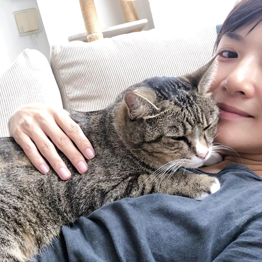 藤崎奈々子さんのインスタグラム写真 - (藤崎奈々子Instagram)「久しぶりにラムネが私の上に来てくれた！ ・ キナコちゃんが赤ちゃんだったので、ずっと私の上を占領されていて 心優しいラムネは遠慮してくれていた。 最近はキナコちゃんも少し大人になったようで、自分用のベッドでお昼寝したりするようになったから 「そろそろ僕も母さんの上でお昼寝しても良いですか？」 という感じでやって来てくれました。 ・ 長い間キナコちゃんの為に我慢してくれていた優しいラムネ また上で寝てくれるのはとっても嬉しい❣️ 重いけど😂 ・ #キジトラ #きじとら白  #保護猫 #多頭飼い #ねこのいる生活  #ねこのいる暮らし  #にゃんすたぐらむ  #優しいお兄ちゃん」10月17日 12時08分 - nanakofujisaki