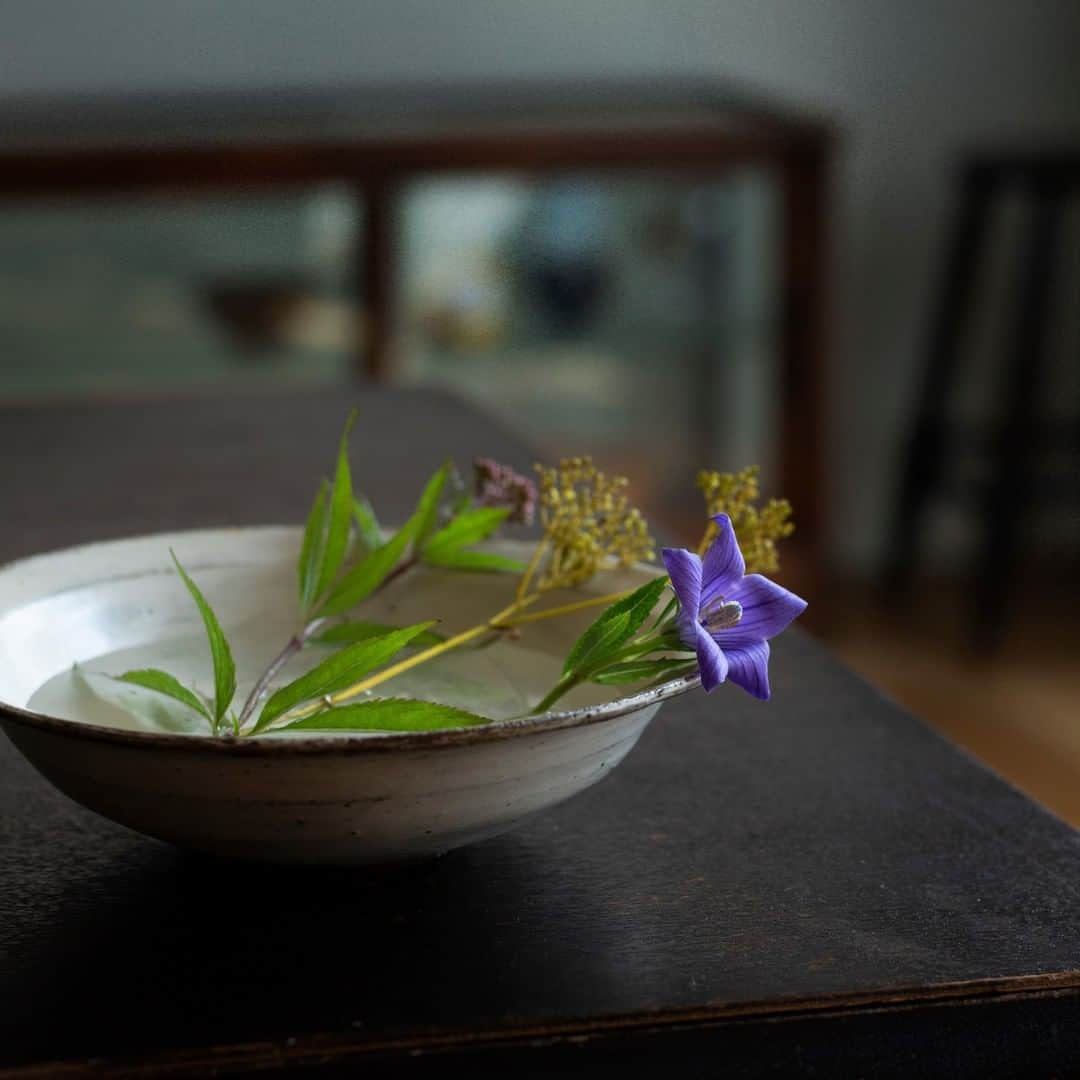 土屋鞄さんのインスタグラム写真 - (土屋鞄Instagram)「秋の七草を飾って、移りゆく季節を感じるひととき。小さな彩りに、ほっと心が和みます。 ・ #秋 #秋の七草 #桔梗 #女郎花 #花 #暮らしを愉しむ #花のある暮らし #花 #土屋鞄 #土屋鞄製造所 #Tsuchiyakaban #flower」10月17日 13時00分 - tsuchiya_kaban