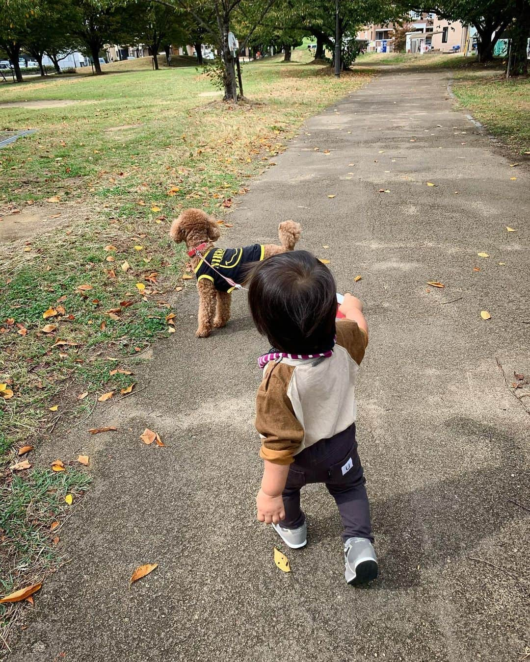 岸野里香さんのインスタグラム写真 - (岸野里香Instagram)「🍂可愛すぎる。🐶×👶🏻 最近仲良しなふたり🖤🖤 #男の子ママ #1歳2ヶ月」10月17日 13時03分 - rikakishino_official