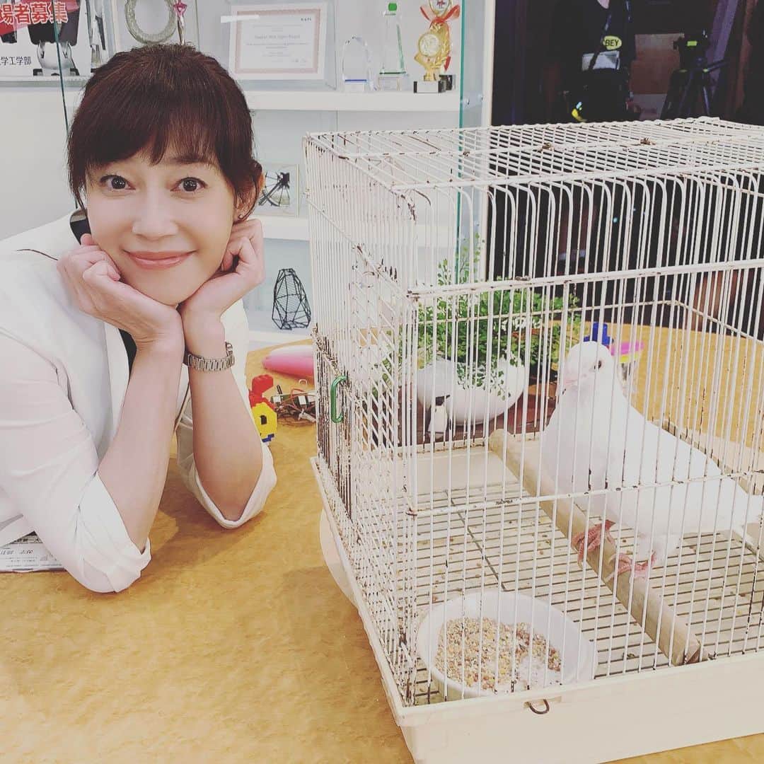 須藤理彩さんのインスタグラム写真 - (須藤理彩Instagram)「鳩と志保。クルックー🐦  #ミスジコチョー いよいよ明日、初回放送デス‼️」10月17日 13時27分 - ichico_smile