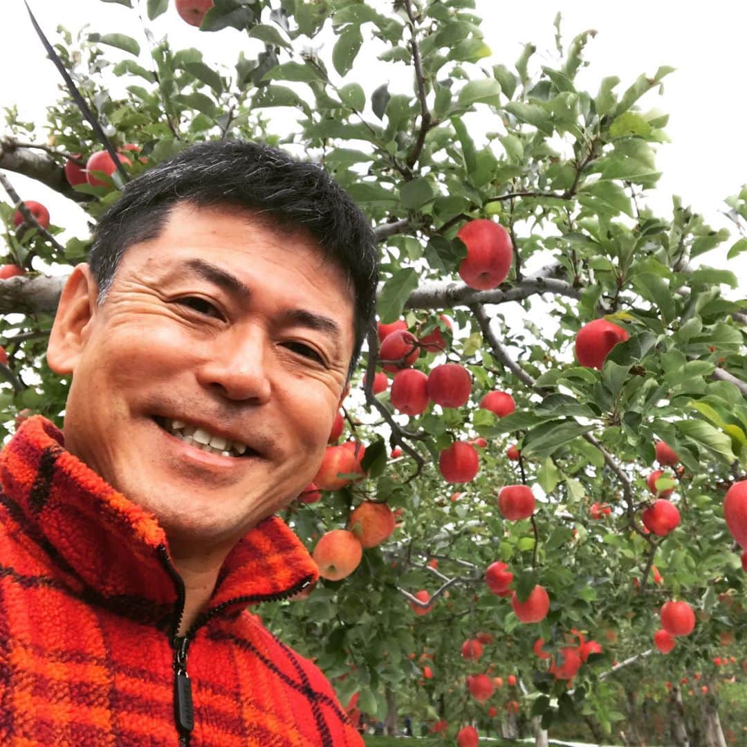 HBC北海道放送アナウンス部さんのインスタグラム写真 - (HBC北海道放送アナウンス部Instagram)「HBCの近藤肇です。  先日、後志地方の果樹園にリンゴ狩りに行ってきました。  ことしは先月まで順調に成育が進んでいたそうなのですが、収穫時期を目前にしたある夜、こちらの畑だけピンポイントでひょうが降ってしまったそうなのです。  多少キズがついても味はおいしかったのですが、店頭に並べることができないリンゴがたくさん出てしまったと、農家の方は肩を落としていました。  改めて自然相手のお仕事のご苦労と難しさを感じました。」10月17日 13時44分 - hbc_announcer