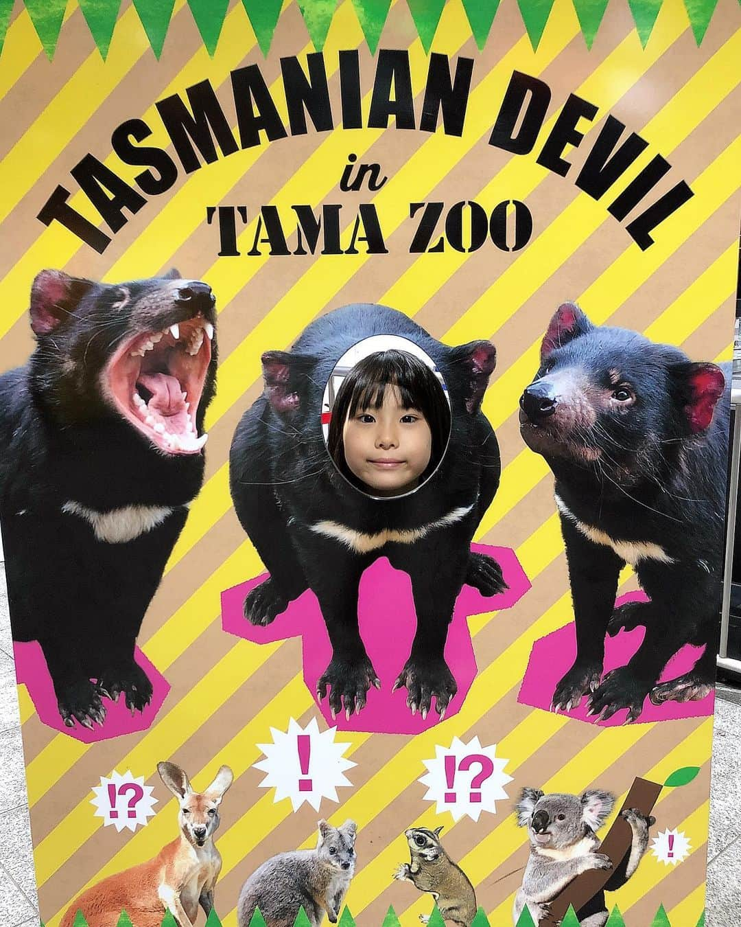 みきママさんのインスタグラム写真 - (みきママInstagram)「【多摩動物園でランチです！】. . . . . . 今日は幼稚園の遠足で多摩動物園に行きました〜！！. . . . . . 杏ちゃん「コロコロボール、めちゃおいし〜」ってさ。毎日肉団子を弁当に入れてくれだってさ。. . . . . 「多摩動物園はね、タスマニアデビルくんが人気なんだって。今日のお弁当はタスマニアデビルなんだよ。」って言ったら、 . . . . . 杏ちゃん「ぜんぜん、にてない。」ってさ。. . . . . . どいひー。」10月17日 14時10分 - mikimama_official