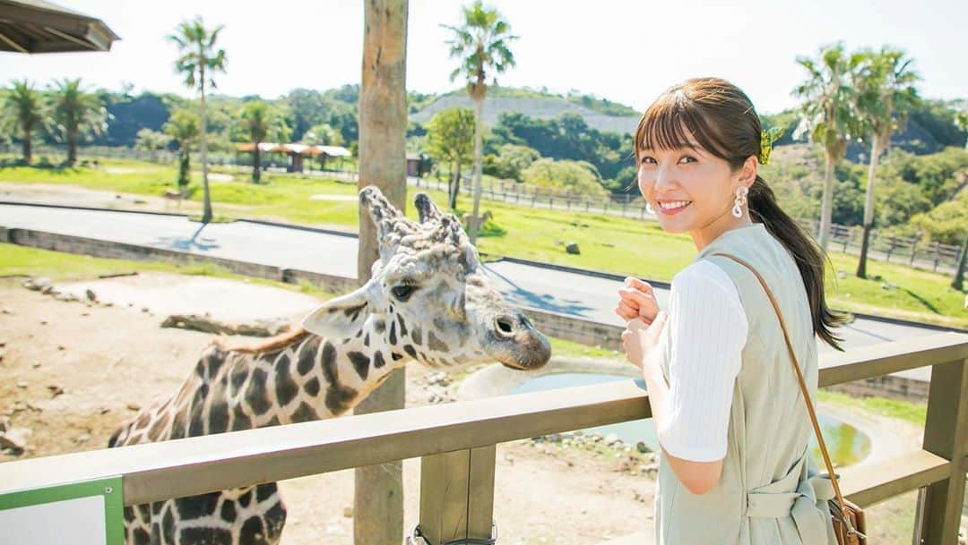 宇野実彩子さんのインスタグラム写真 - (宇野実彩子Instagram)「.﻿ 先日、#うの旅 で行った南紀白浜で﻿ アドベンチャーワールド大満喫してきました🦒♥️﻿ ﻿ 動物たちとこんなに近くで触れ合えたのはとても久しぶり!!﻿ 非日常の旅は最高のリフレッシュになりました🌈﻿ ﻿ ﻿ 『JAL うの旅 in 南紀白浜』﻿ YouTubeで公開されているのでぜひチェックしてね💁‍♀﻿ ﻿ #うの旅 #南紀白浜﻿ #アドベンチャーワールド﻿ #JAL」10月17日 14時15分 - misako_uno_aaa