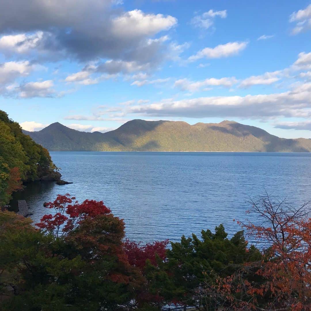 ヤマザキマリさんのインスタグラム写真 - (ヤマザキマリInstagram)「北海道の支笏湖周辺は紅葉が始まってます」10月17日 15時41分 - thermariyamazaki