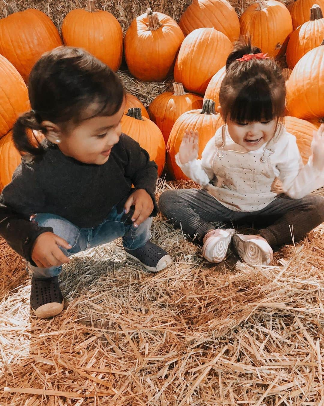 manaさんのインスタグラム写真 - (manaInstagram)「. #kokorune 🐑🧶🥨🍂 本当仲良くてかわいい🙈♥️ #kids #baby #youtube #vlog #ハロウィン #海外生活 #アメリカ #カリフォルニア #ユーチューブ #キッズモデル #zyonmana #zyonmana旅」10月17日 16時01分 - manafiemom