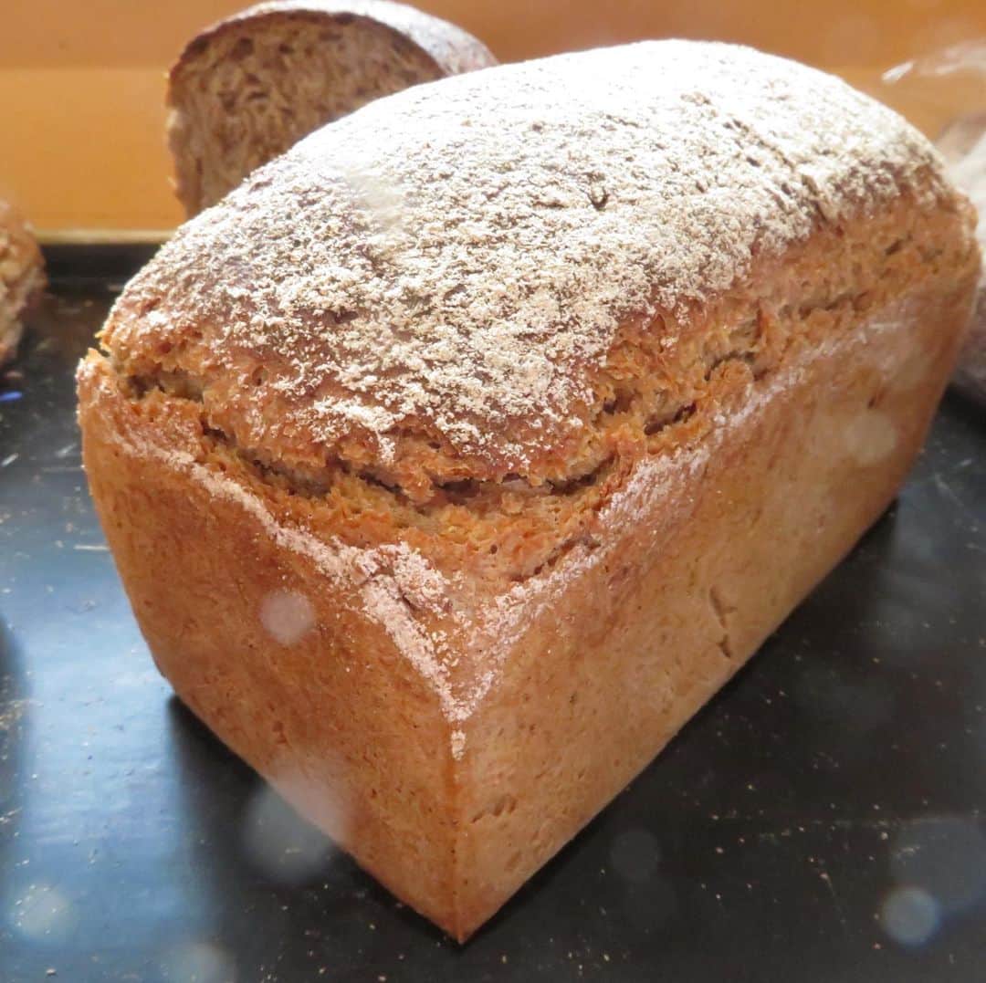 魔女菅原のグルメインスタ