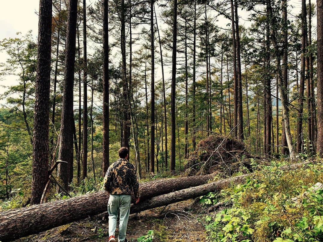 Rie fuさんのインスタグラム写真 - (Rie fuInstagram)「Violent and sublime nature. These trees were on the mountain slope where the ground was loosened by the storm. Although geographically vulnerable to natural disasters, Japan has such rich and diverse nature. This is a time to think about how we can coexist with the environment and review our energy consumptions. 自然の脅威と畏敬。こんなに大きな木が根こそぎバンバン倒れていたエリアは山の麓の急斜面で、大雨で地盤が緩んだのだろう。災害が多いと同時に、美しい自然が溢れる日本で、環境との共存や、消費エネルギーの在り方を考える時代。#nature #storm #typhoon #forest #trees #roots #自然 #森林 #sublime」10月17日 16時12分 - riefuofficial