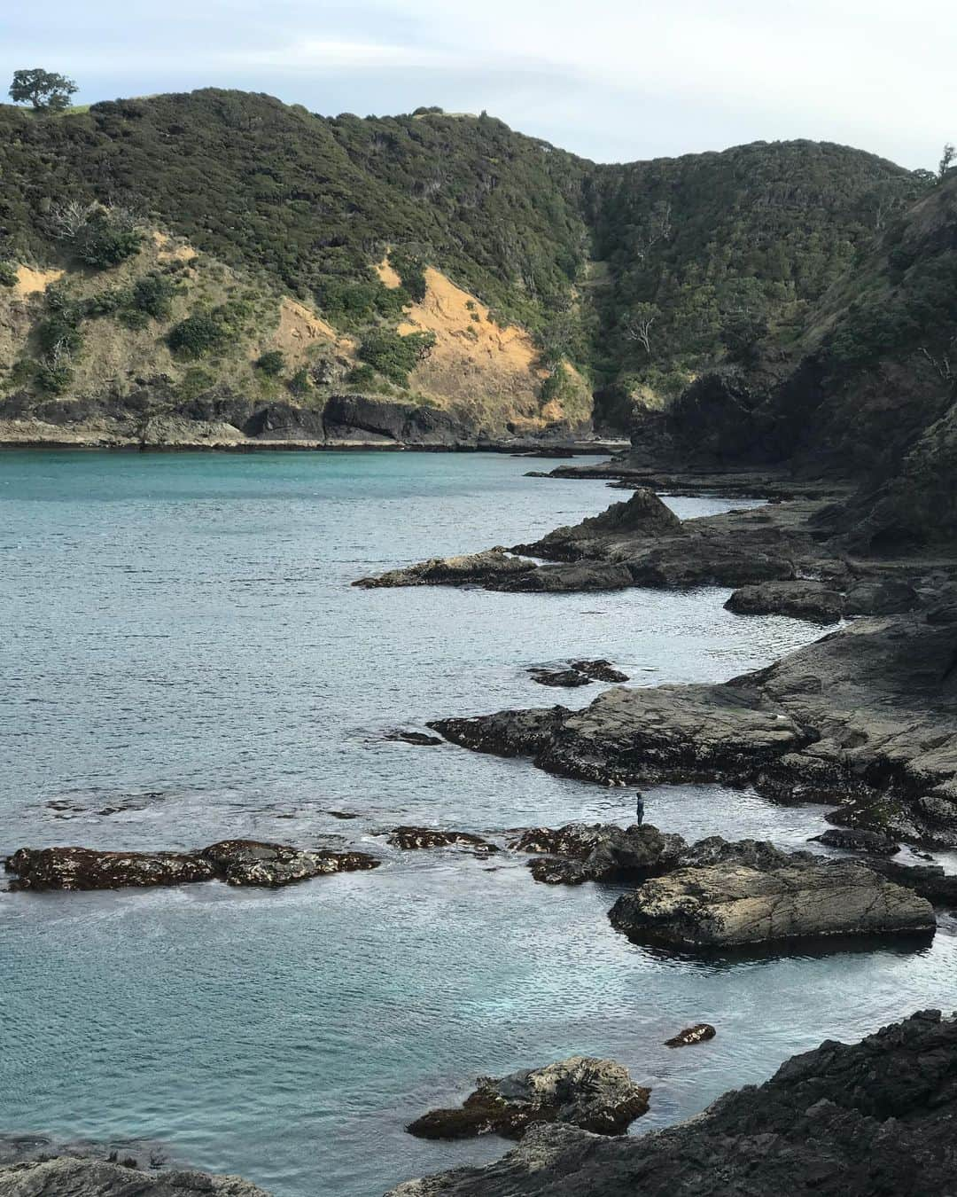 マイケル・ドーソンさんのインスタグラム写真 - (マイケル・ドーソンInstagram)「Hanging on the rocks taking in Epic day kicking of our @nrsweb mission to #greatbarrierisland 🙏🏿🙏🏿 This place is amazing 👌👌 Sea Food Sea Kayaks and good times 🙏🏿 📸 @adam.stories #kayak #seakayak #adventure #teamnrs #nrs #ortlieb #onedaynz」10月17日 16時54分 - mrmikedawson